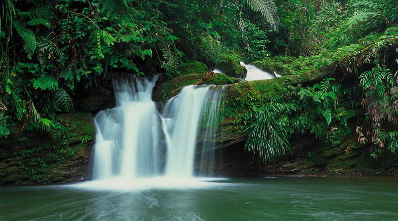 Wasserfall im Ulu Temburong Nationalpark © David Kirkland und Sabah Tourism