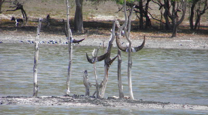 Salzsee bei Laga © Oliver C. Thornton