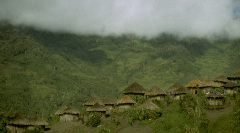 Dorf in West Papua