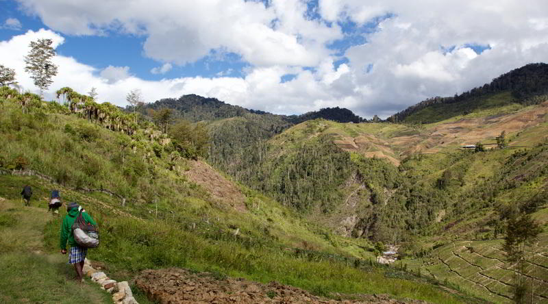 Baliem Valley © Baliem Valley Resort