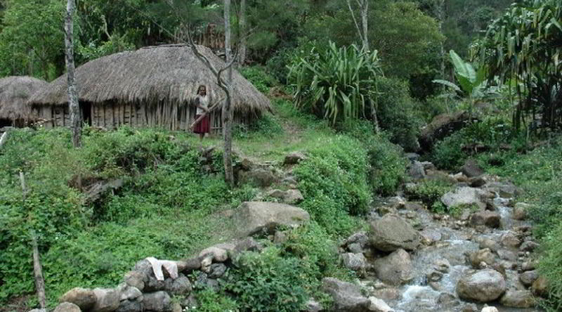 Hamlet at Sekan Mountain © Baliem Valley Resort