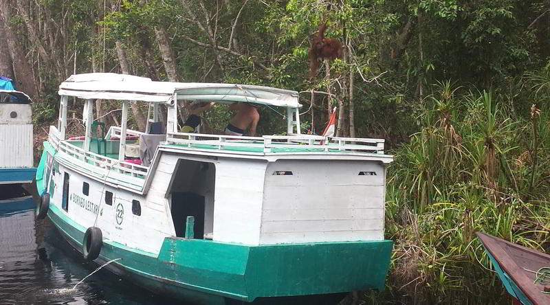 House boat at Tanjung Puting © Oliver C. Thornton