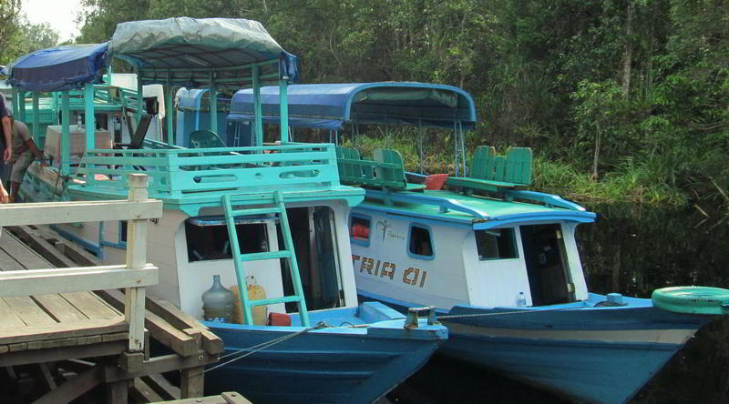 klotok at Tanjung Puting © Rima Suharkat