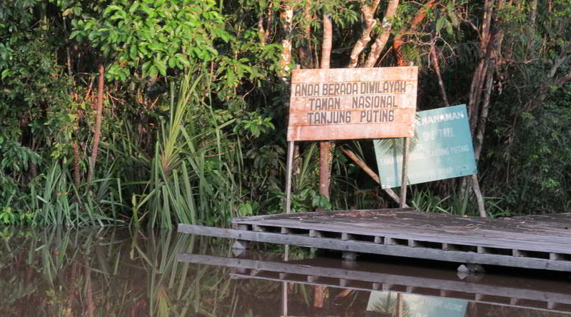 Tanjung Puting National Park © Rima Suharkat