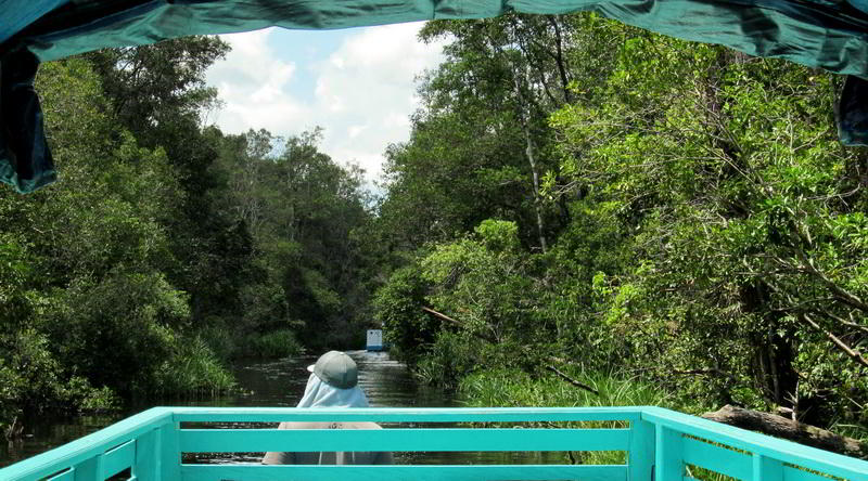 House boat at Tanjung Puting © Rima Suharkat