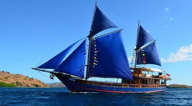 Moana © Moana Boat Charter