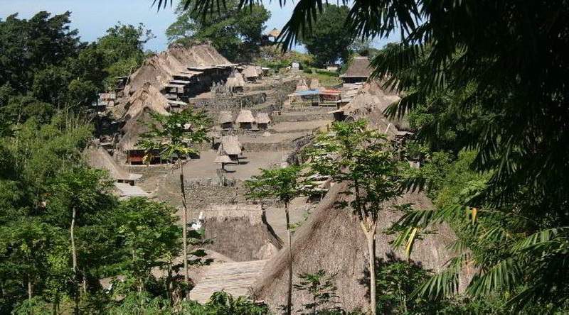 Dorf Bena auf der Insel Flores © Rima Suharkat