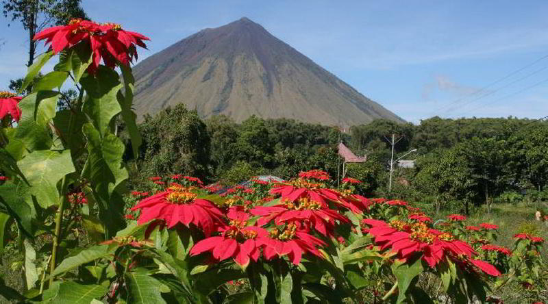 Inerie Volcano Flores © Christopher Missling