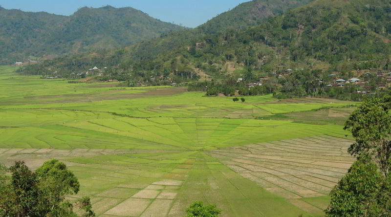 Lingko Randang, Flores