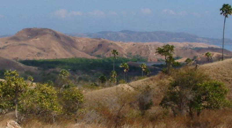 Landschaft der Insel Komodo