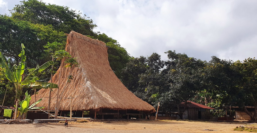 Rumah Adat Jopu © Rima Suharkat