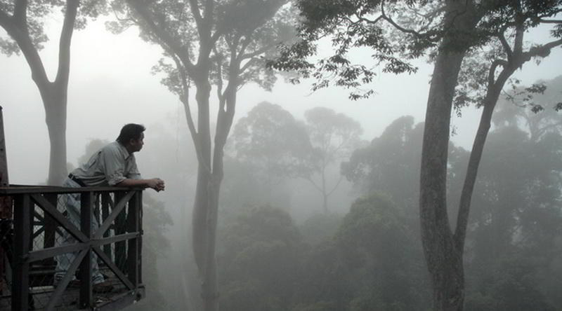 Danum Valley Canopy Walk © Borneo Rainforest Lodge