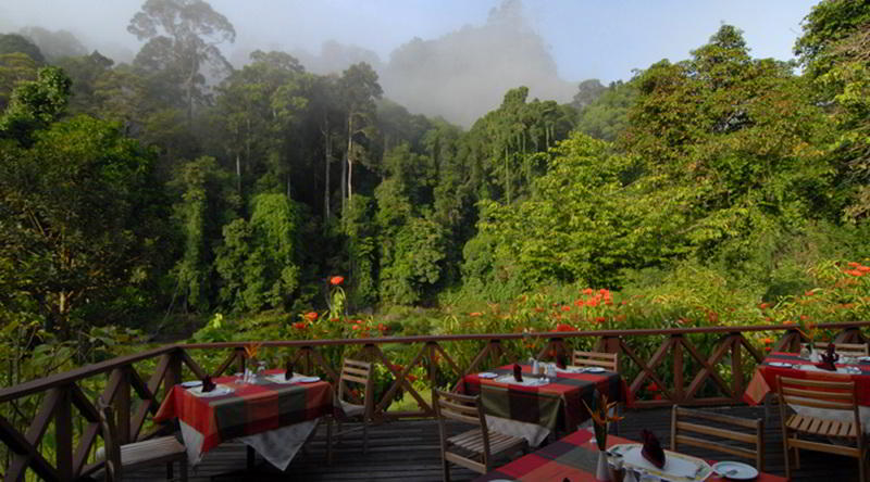 Borneo Rainforest Lodge Restaurant © Borneo Rainforest Lodge