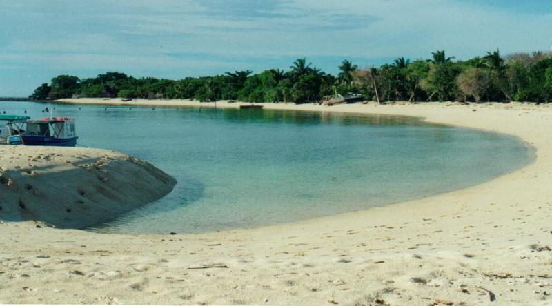 Pulau Selingan