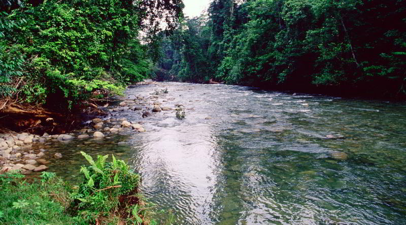 Oberlauf des Batang Ai