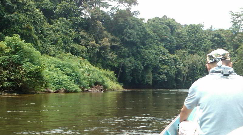 Flussfahrt in Mulu © Rima Suharkat