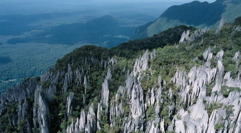 Felsformation im Mulu Nationalpark