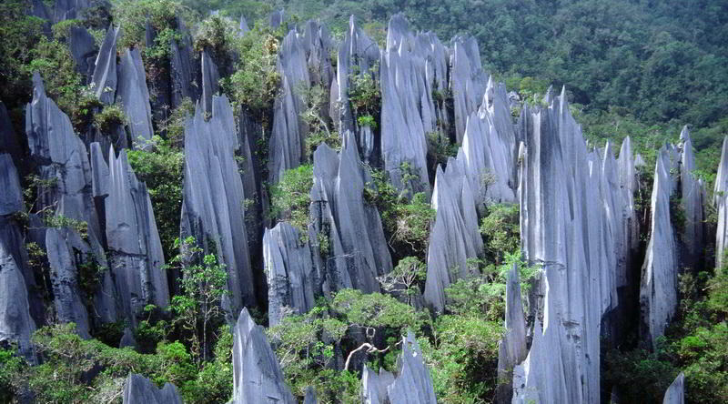 Pinnacles in Mulu © Malaysia Tourism Board