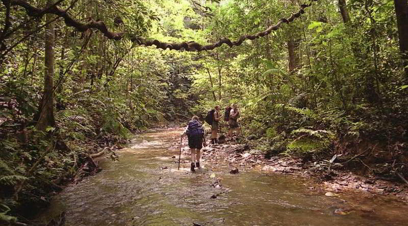 Rainforest Trekking © Red Ape Trail