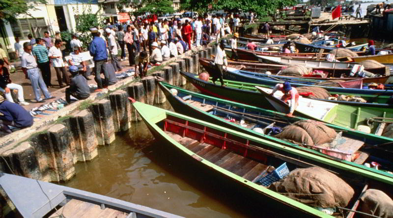 Longboats Sarawak © Sarawak Tourism Board