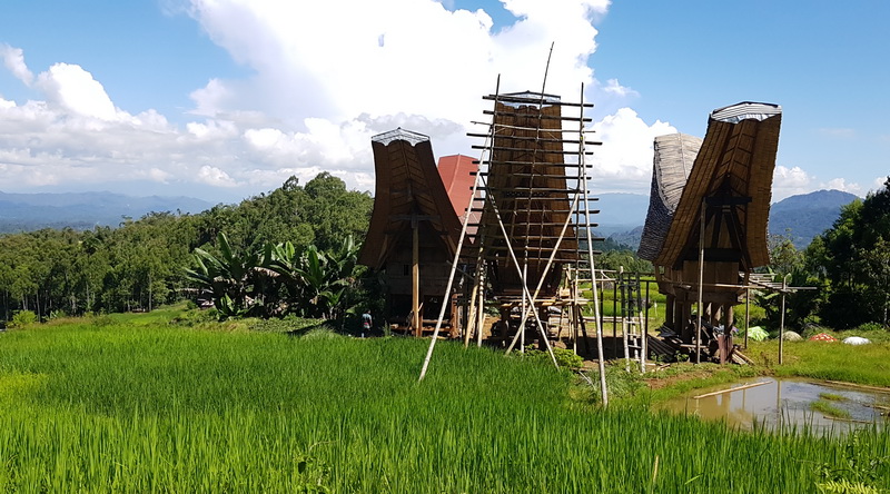 Tanah Toraja © Rima Suharkat