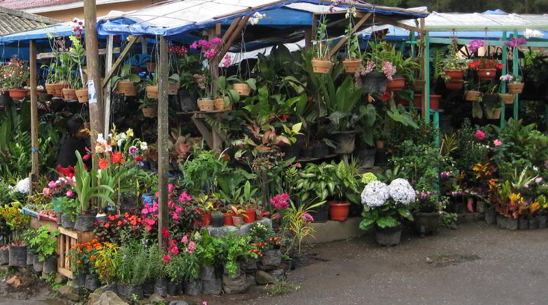 Market in Berastagi