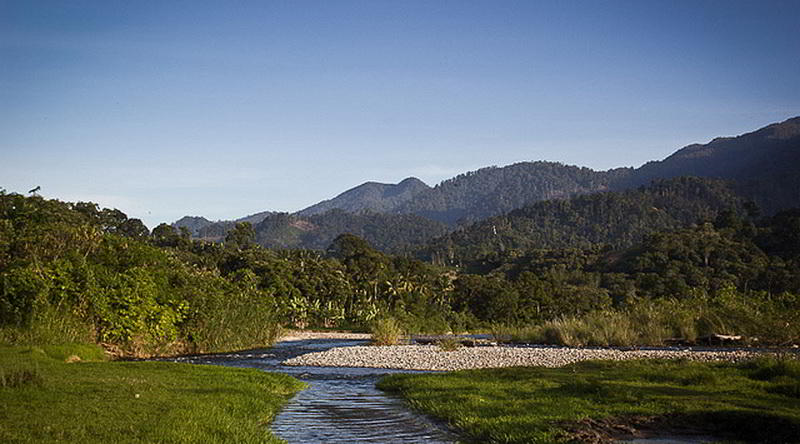 Leuser Nationalpark © Ministry of Culture and Tourism, Republic of Indonesia