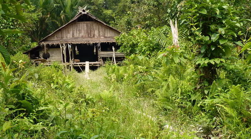 Settlement on Siberut Island © Höger