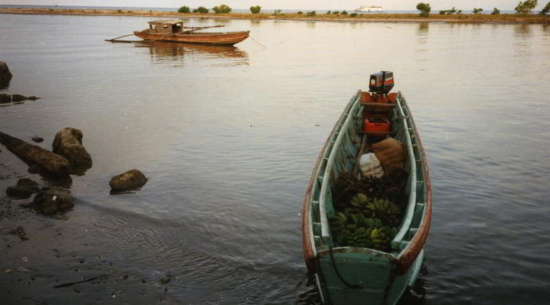Motorisiertes Kanu Siberut