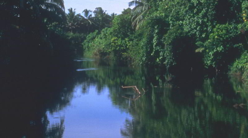 Fluss in Sumatra