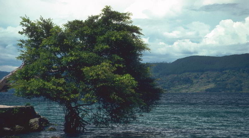 Tobasee in Nordsumatra