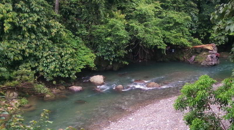 jungle trekking © Rima Suharkat